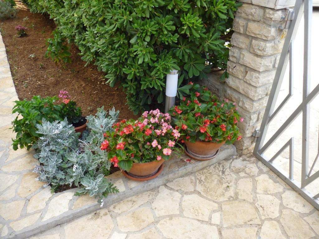 Apartments Pralija زابوريتش المظهر الخارجي الصورة